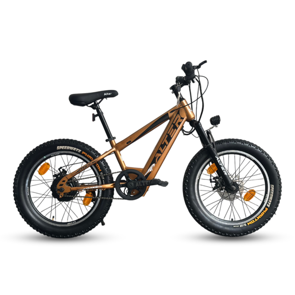 20" HANZOR-X MODEL KIDS ELECTRIC CYCLE WITH 24V 250W BLDC HUB MOTOR, LI-ION INBUILT BATTERY, 95% PRE-ASSEMBLED WITH CHARGER (BRONZE & BLACK) Alter Bikes