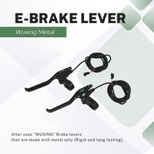 ALTER 36V/48V 350W (T-003S) ELECTRIC TRICYCLE HUB MOTOR KIT Alter Bikes