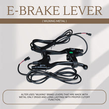 ALTER 002S PRO 40H (40 HOLES) 36V 250W CYCLE HUB MOTOR KIT Alter Bikes