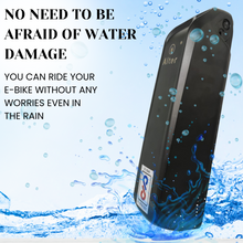 ALTERABATT 36V 7.8AH LITHIUM ION HAILONG CASE BATTERY {REMOVABLE} BATTERY {BIS CERTIFIED} Alter Bikes