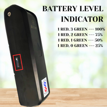 ALTERABATT 36V 15.6 AH LITHIUM ION HAILONG CASE BATTERY {REMOVABLE} BATTERY {BIS CERTIFIED} Alter Bikes